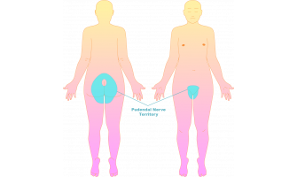 ​Anatomy of a Spanking