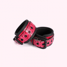 BDSM Toys