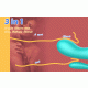 3 In 1 Small Anal Vibrator Butt Plug With 9 Frequency Vibration 3 In 1 Small Anal Vibrator Butt Plug With 9 Frequency Vibration