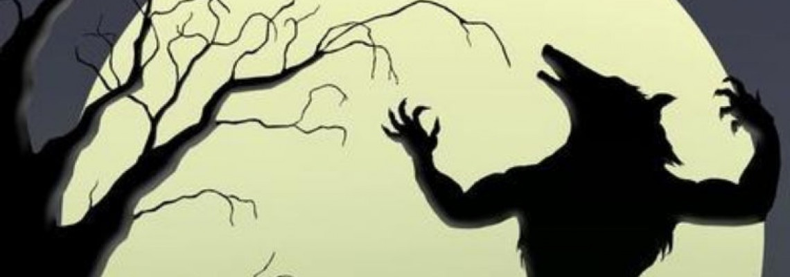 Animal Transformation Fetish