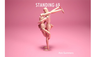 Sex Position: Standing 69
