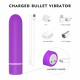 2 in 1 detachable bullet vibrator