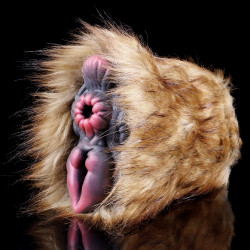 camel pussy male masturbator sex toy for men - fantasy animal vaginal penis masturbation
