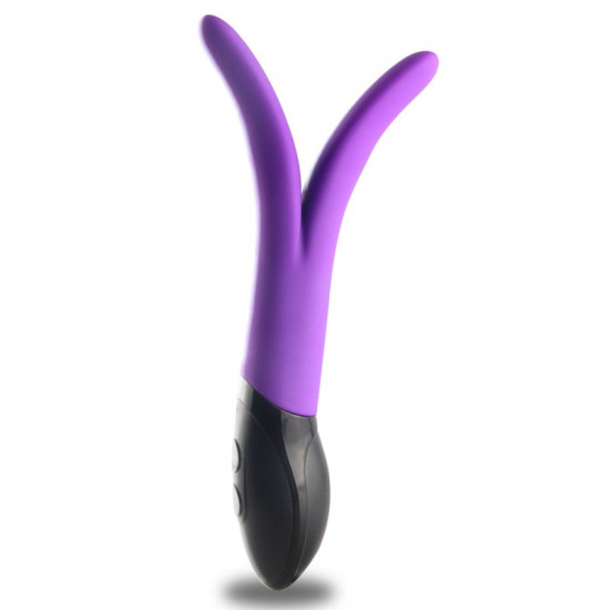 double stem 9 modes y-shaped double motors vibrator