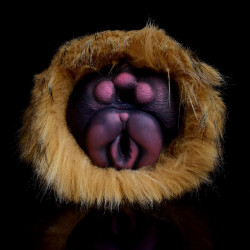 furry cat pocket pussy male sex toy - fantasy animal vaginal silicone penis masturbator