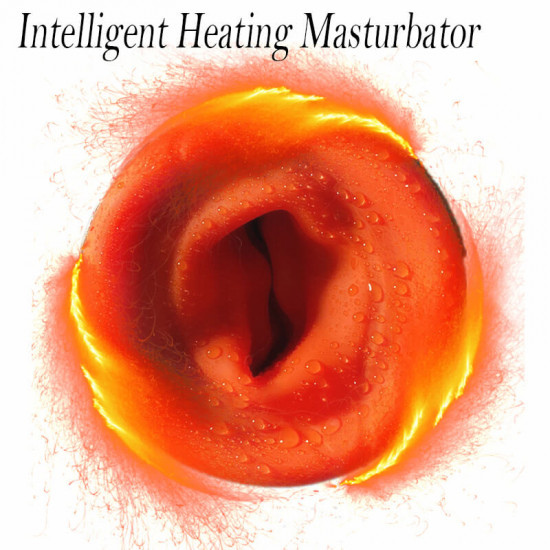 hotboy multiple frequencies vibrating sucking heating masturbator