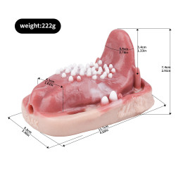 realistic tongue grinder female sex toys - remote control vibrating bullet strapless oral masturbation