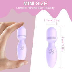 small rechargeable female purple vibrator