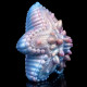 starfish pocket pussy realistic sex doll - deep sea wild penis massage masturbator starfish pocket pussy realistic sex doll - deep sea wild penis massage masturbator