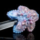 starfish pocket pussy realistic sex doll - deep sea wild penis massage masturbator starfish pocket pussy realistic sex doll - deep sea wild penis massage masturbator