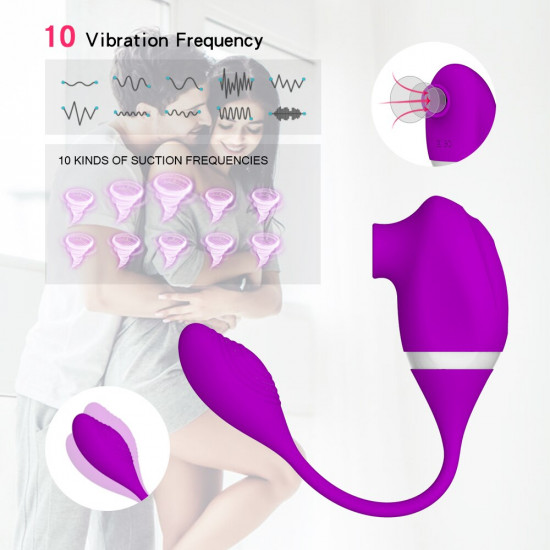 sucker shock-absorbing double-headed dual-use vibrator