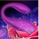 wearable wireless vibrator dildo g spot c shape silicone stimulator wearable wireless vibrator dildo g spot c shape silicone stimulator